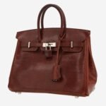 Hermès Birkin 25 cm handbag in brown lizzard