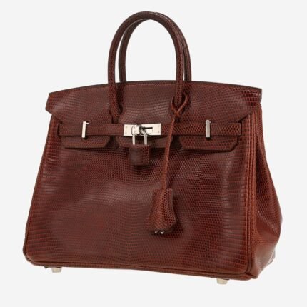 Hermès Birkin 25 cm handbag in brown lizzard