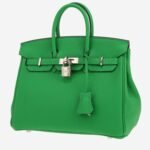 Hermès Birkin 25 cm handbag in green Bamboo togo leather