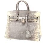 Hermès Birkin 25 cm handbag in grey and beige lizzard