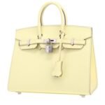 Hermès Birkin 25 cm handbag in Jaune Milton epsom leather