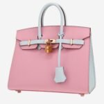 Hermès Birkin 25 cm handbag in Mauve Sylvestre and Bleu Brume epsom leather