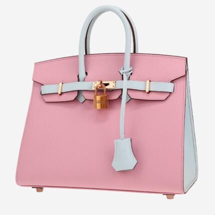 Hermès Birkin 25 cm handbag in Mauve Sylvestre and Bleu Brume epsom leather
