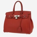 Hermès Birkin 30 cm handbag in Terre Battue togo leather